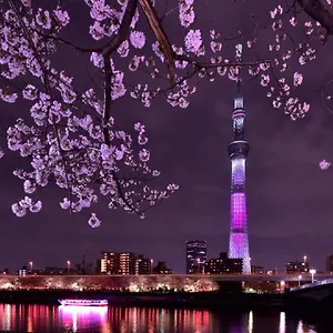 招待所 上野彩虹别墅, 東京都
